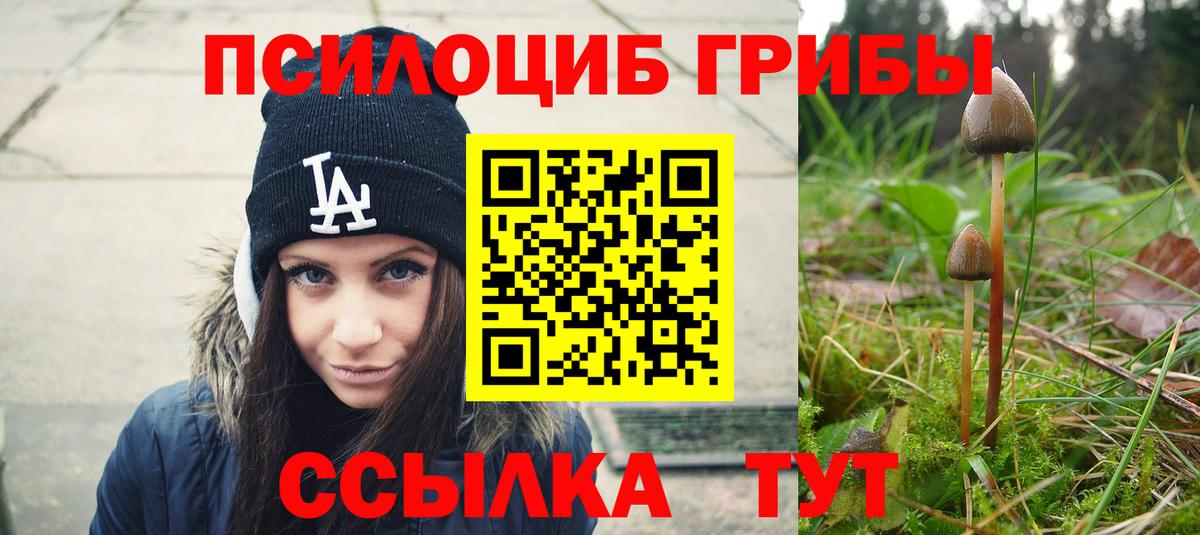 купить наркотик  Вход с VPN  Волхов  Псилоцибиновые грибы мухоморы 