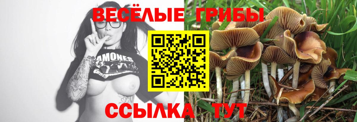 Псилоцибиновые грибы мухоморы Волхов